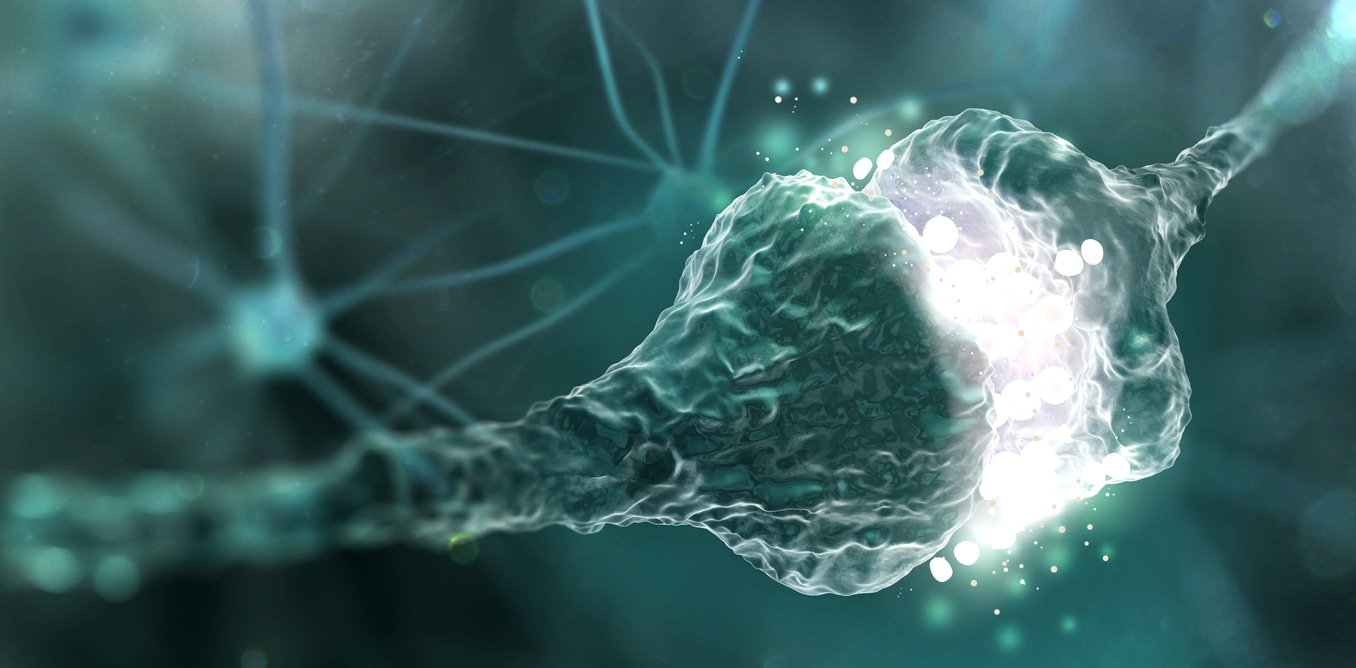 From decapitation to positive psychology: how one nerve connects body, brain and mind